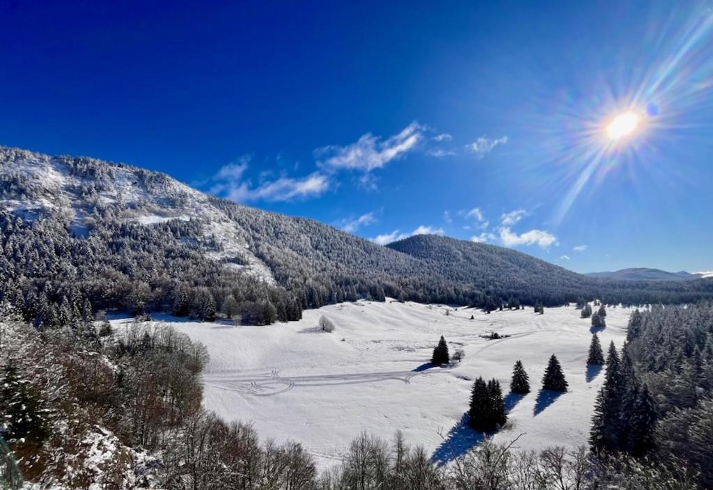 Restaurant Hotel Du Vercors Saint-Martin-en-Vercors ภายนอก รูปภาพ